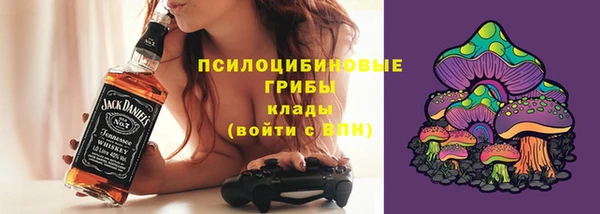 соль ск Аркадак