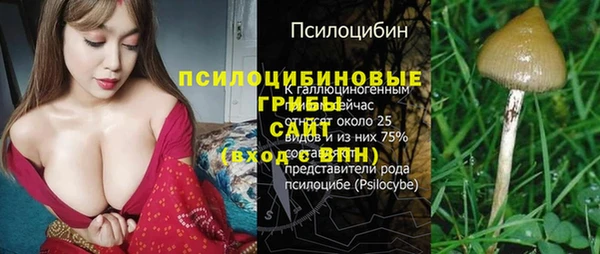 соль ск Аркадак